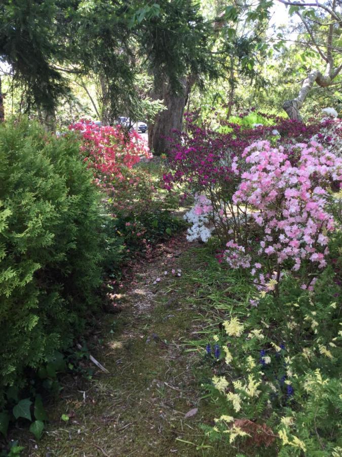 The Wentworth Retreat Βίλα Wentworth Falls Εξωτερικό φωτογραφία
