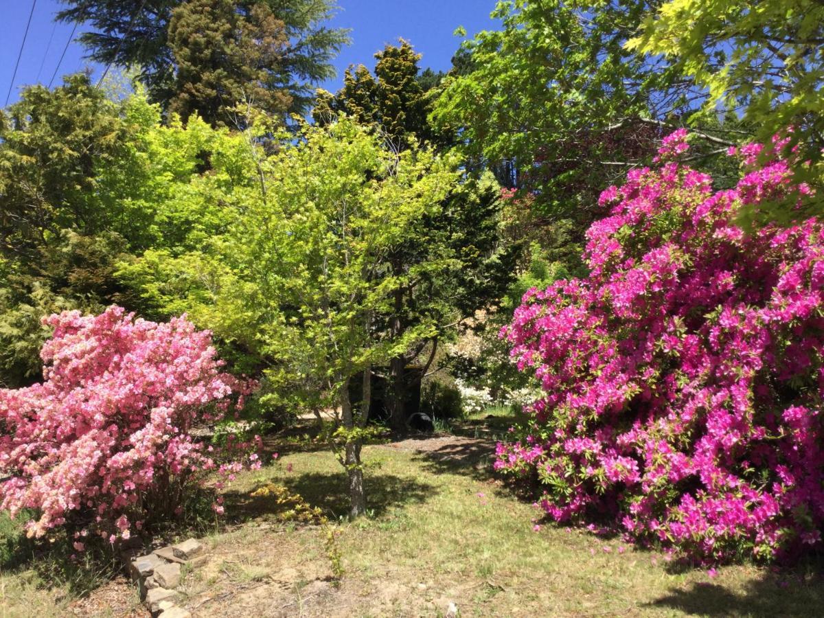 The Wentworth Retreat Βίλα Wentworth Falls Εξωτερικό φωτογραφία